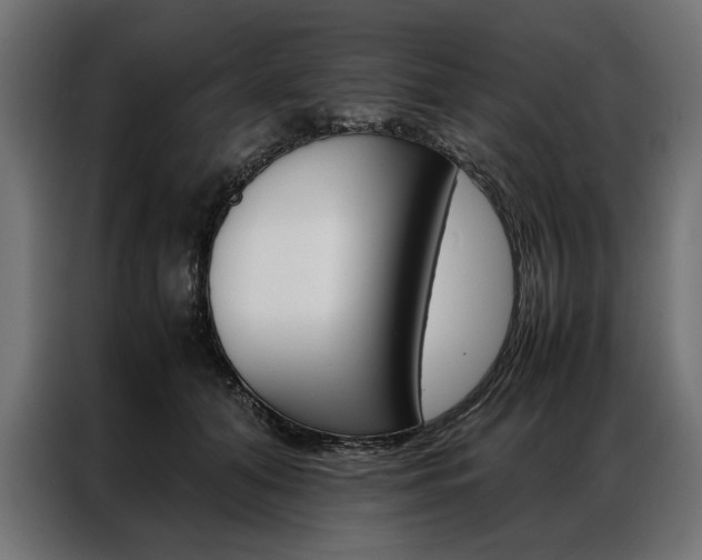 X0000086940608200704161036