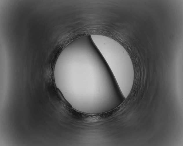 X0000086940609200704161036
