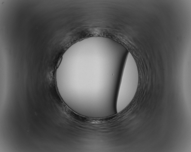 X0000086940611200704161036