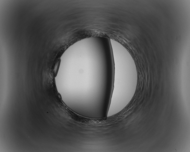 X0000086940613200704161036