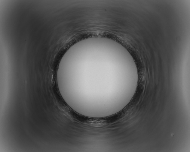 X0000086940615200704161036