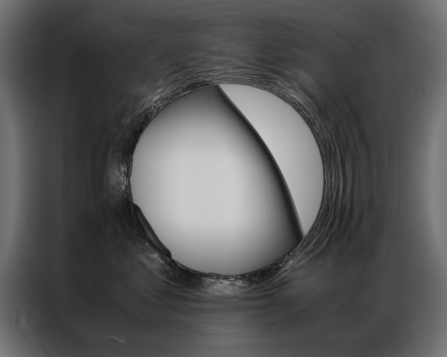X0000086940621200704161036