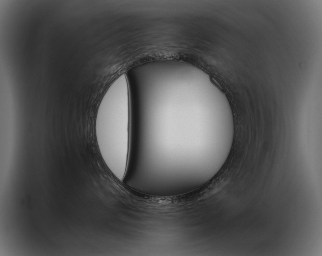 X0000086940624200704161036