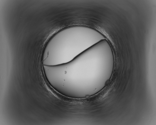 X0000086940625200704161036