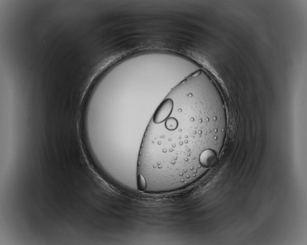 X0000086940629200704161036