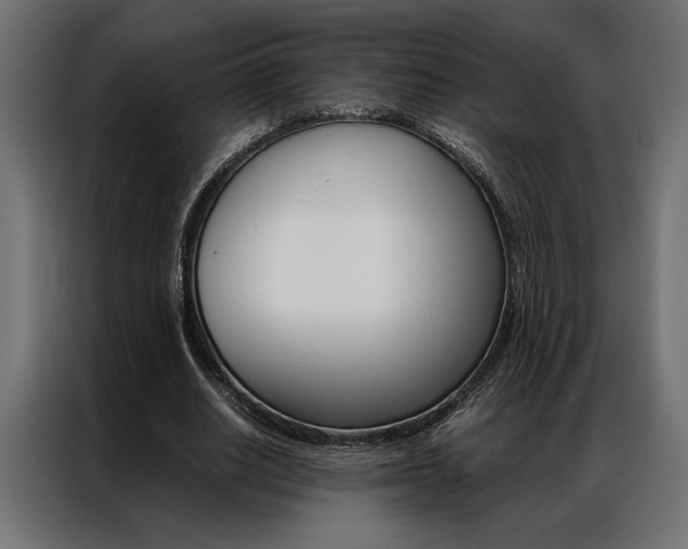X0000086940630200704161036