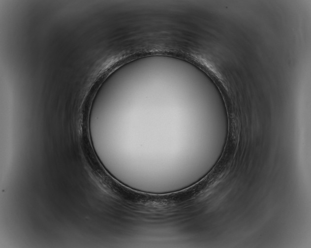 X0000086940631200704161036
