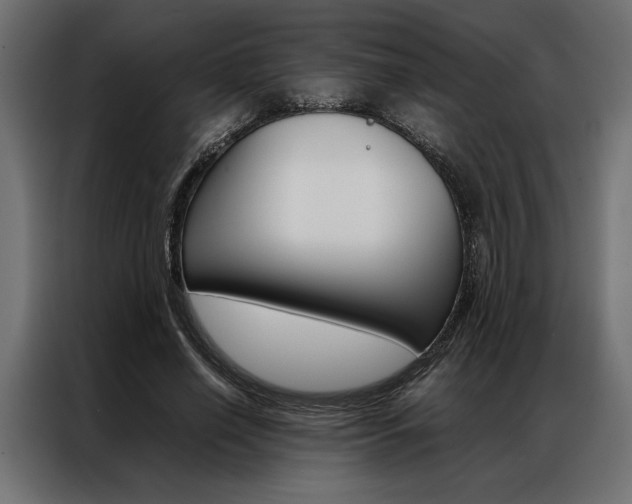 X0000086940638200704161036