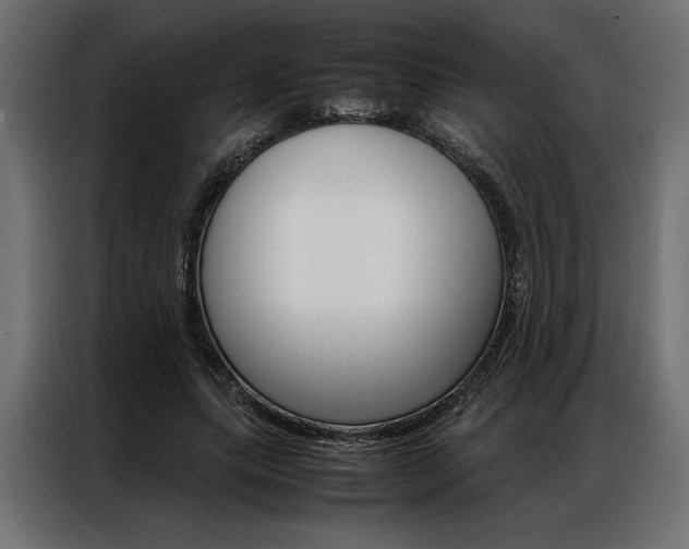 X0000086940639200704161036