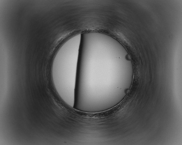 X0000086940640200704161036