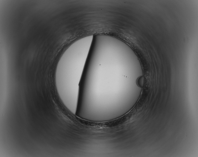 X0000086940642200704161036