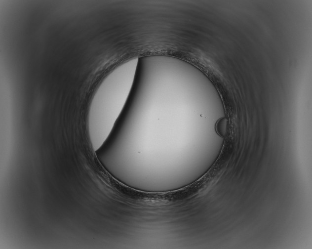 X0000086940644200704161036