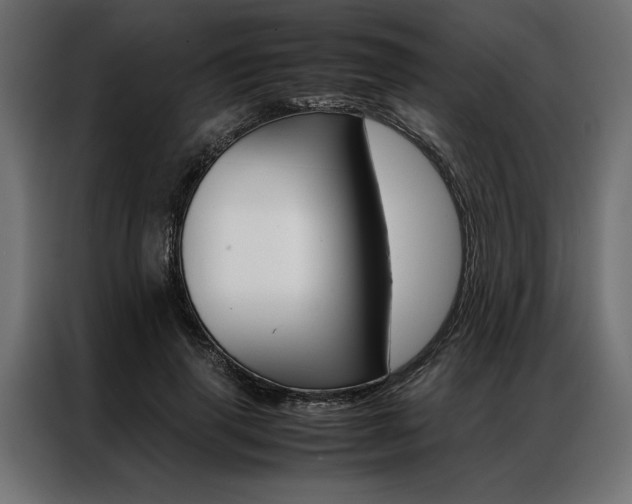 X0000086940645200704161036