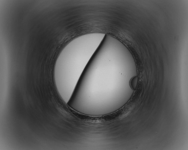 X0000086940646200704161036