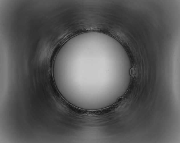 X0000086940648200704161036