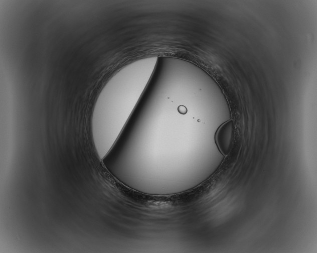 X0000086940649200704161036