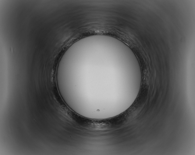 X0000086940650200704161036