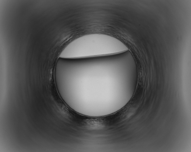 X0000086940652200704161036