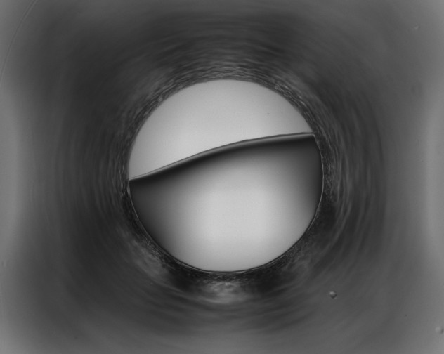 X0000086940653200704161036