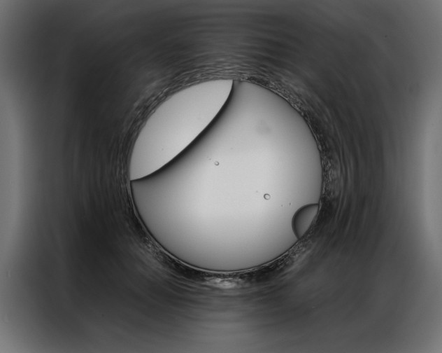 X0000086940654200704161036