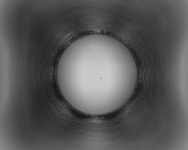 X0000086940656200704161036