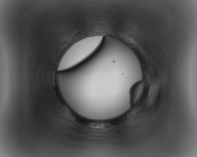 X0000086940661200704161036