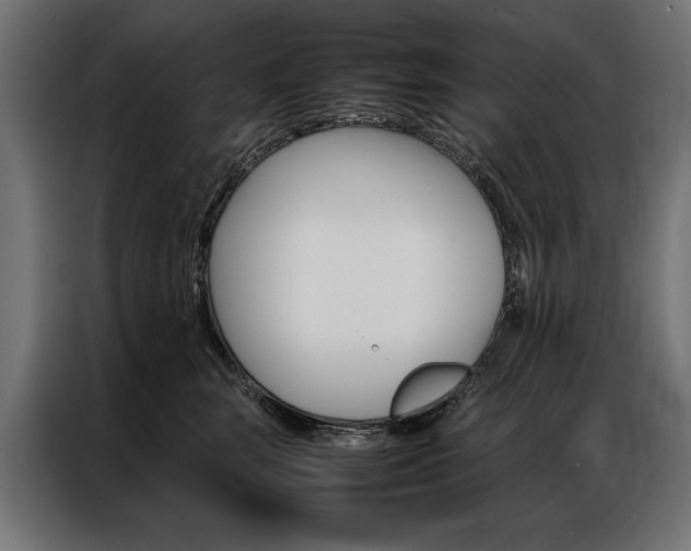 X0000086940663200704161036