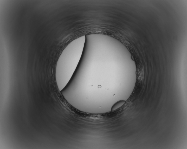 X0000086940666200704161036