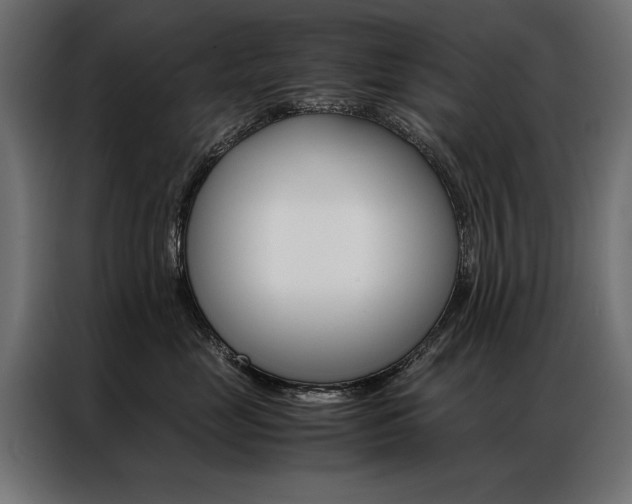 X0000086940669200704161036