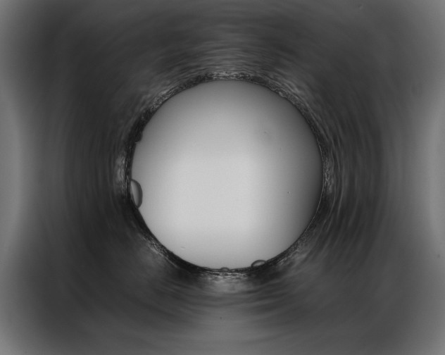 X0000086940670200704161036