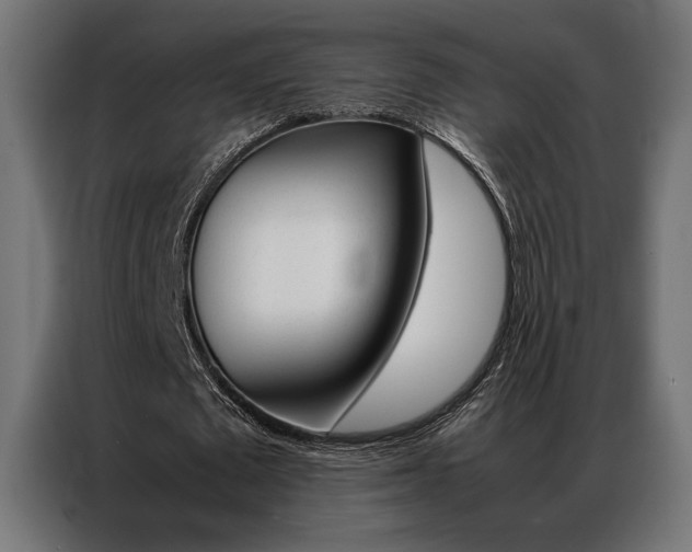 X0000086940673200704161036