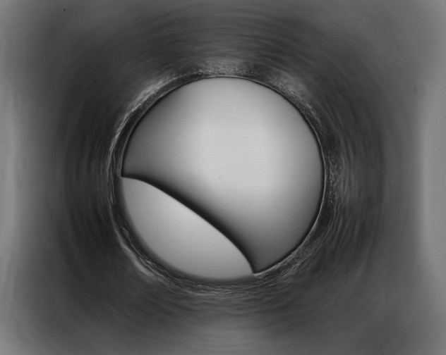 X0000086940674200704161036