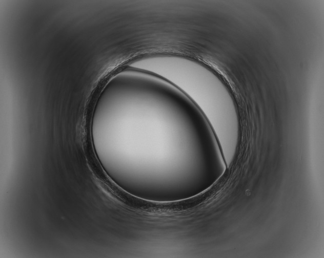 X0000086940677200704161036