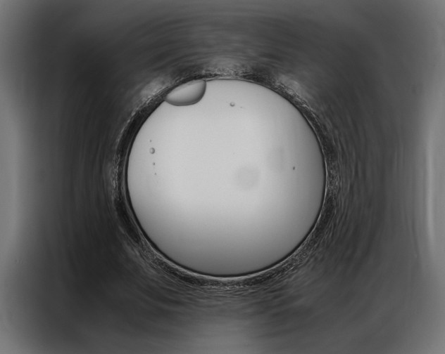 X0000086940679200704161035