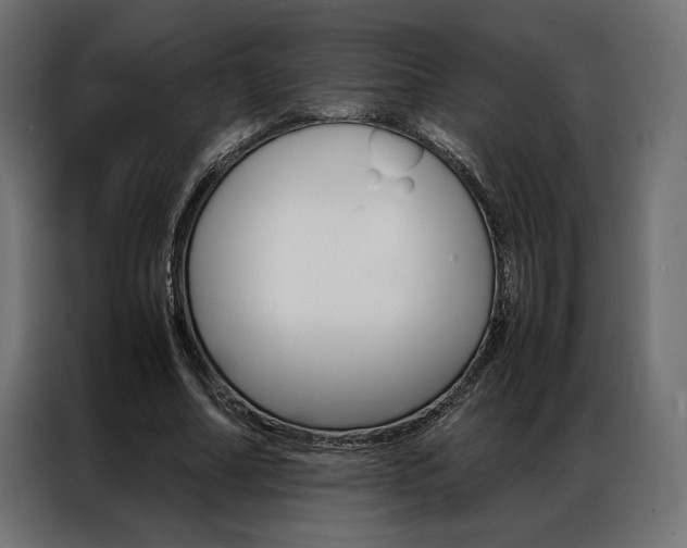 X0000086940682200704161035