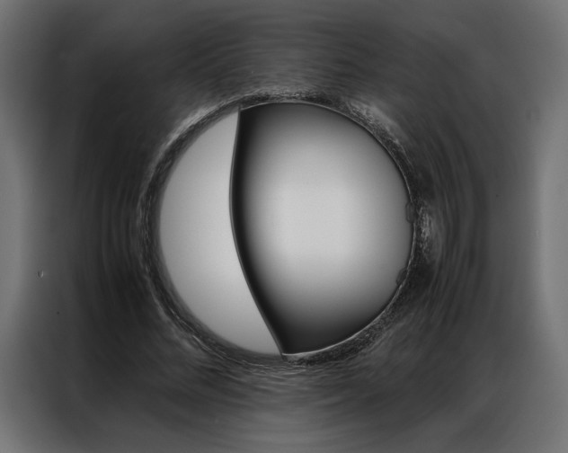 X0000086940684200704161035