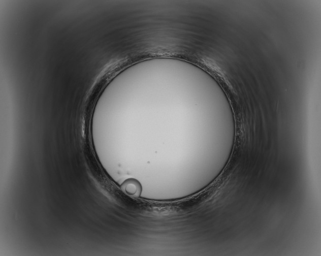 X0000086940686200704161035