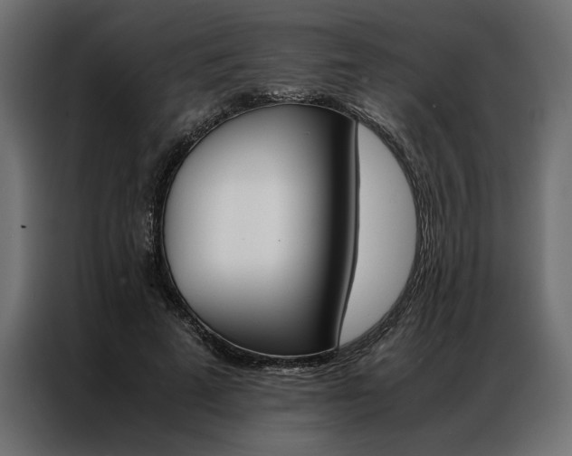X0000086940689200704161035