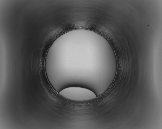 X0000086940690200704161035