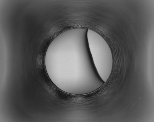 X0000086940695200704161035