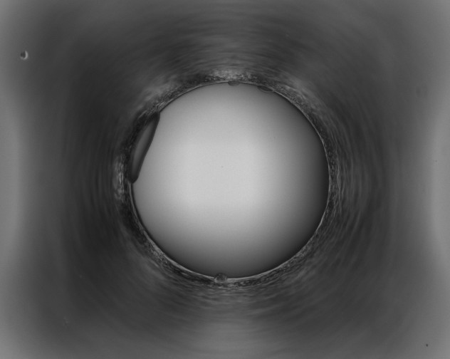 X0000086940696200704161035