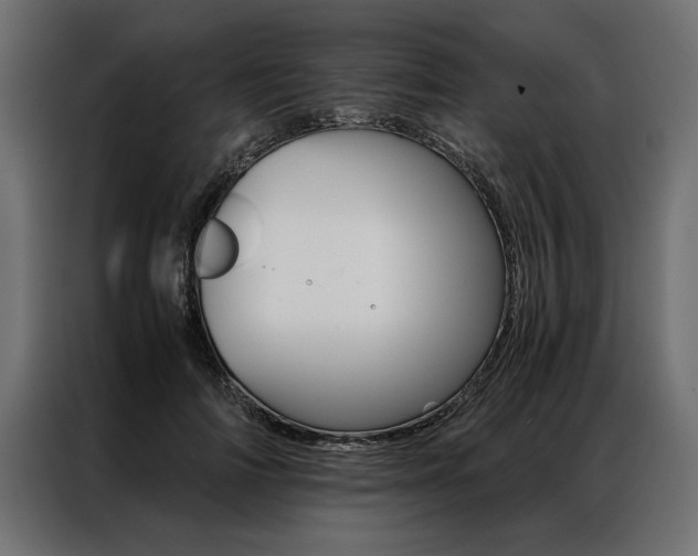 X0000086940698200704161035