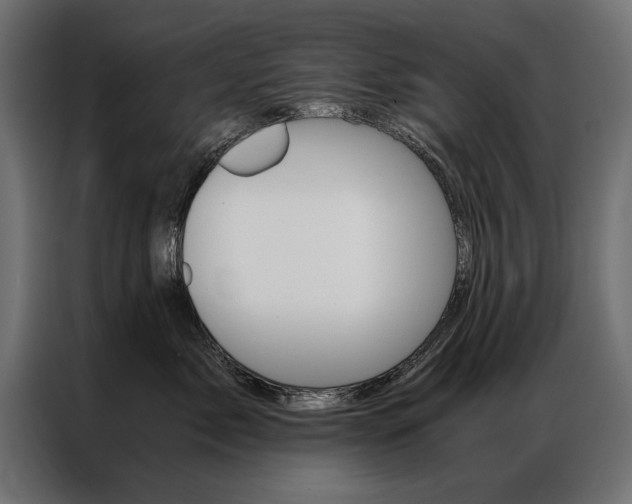 X0000086940717200704161035
