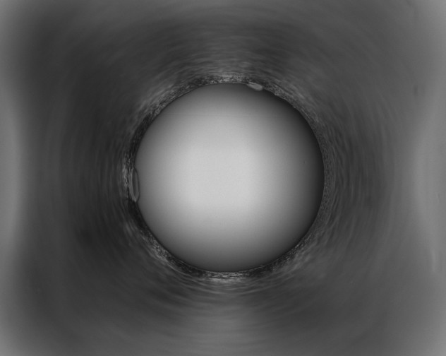 X0000086940720200704161035