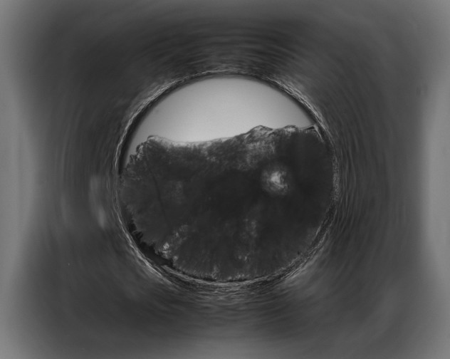 X0000086940721200704161034