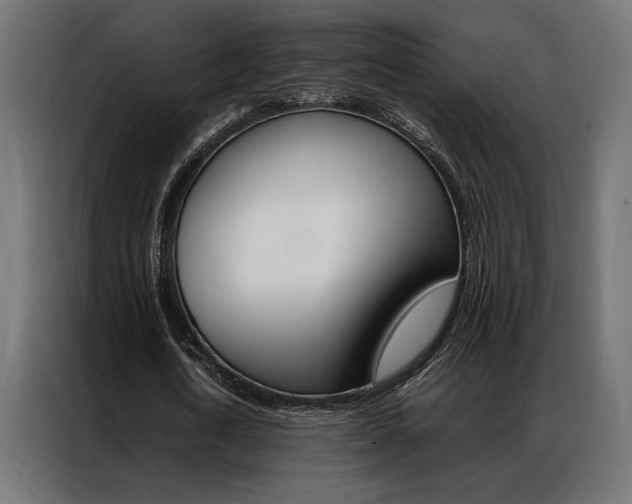 X0000086940722200704161034