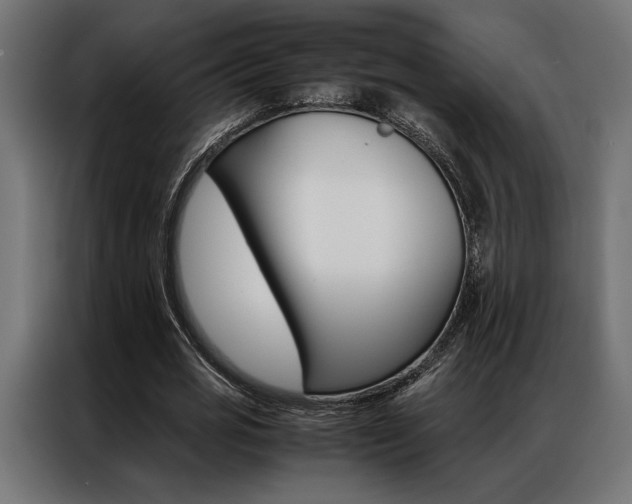 X0000086940725200704161034