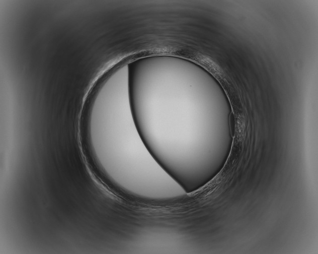 X0000086940726200704161034