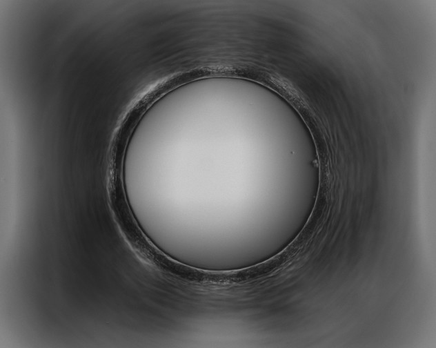 X0000086940728200704161034