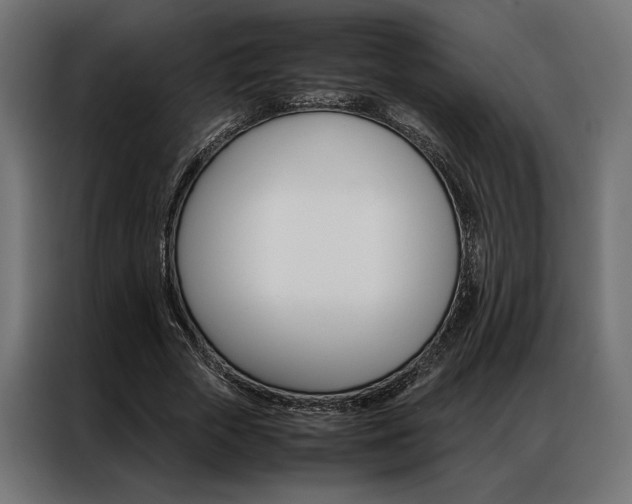 X0000086940729200704161034